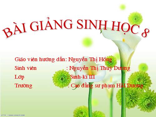 Bài 48. Hệ thần kinh sinh dưỡng