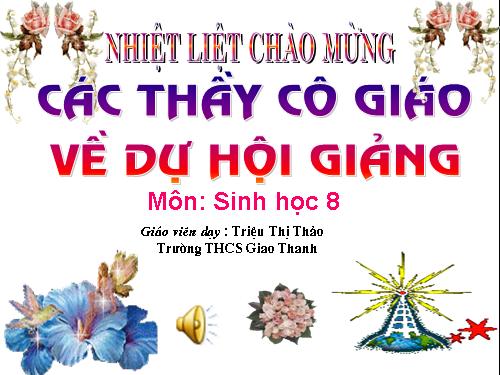 Bài 36. Tiêu chuẩn ăn uống. Nguyên tắc lập khẩu phần