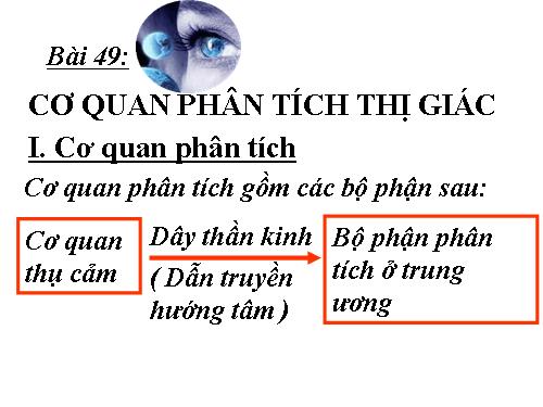 Bài 49. Cơ quan phân tích thị giác