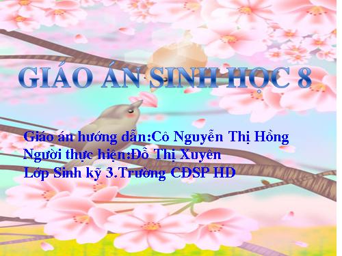 Bài 41. Cấu tạo và chức năng của da