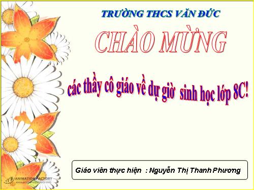 Bài 25. Tiêu hóa ở khoang miệng