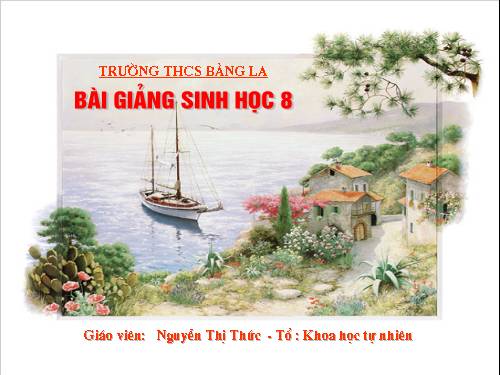 Bài 6. Phản xạ