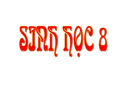 Bài 28. Tiêu hóa ở ruột non