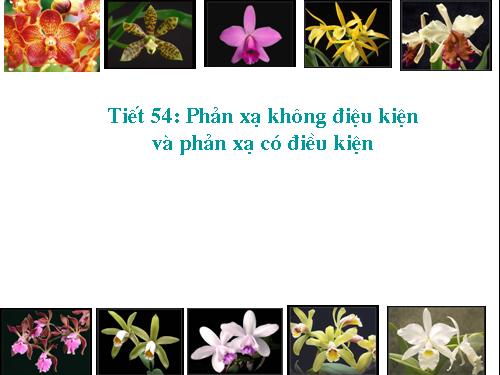 Bài 52. Phản xạ không điều kiện và phản xạ có điều kiện