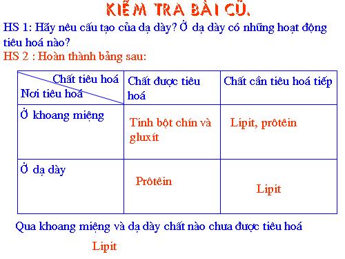 Bài 28. Tiêu hóa ở ruột non