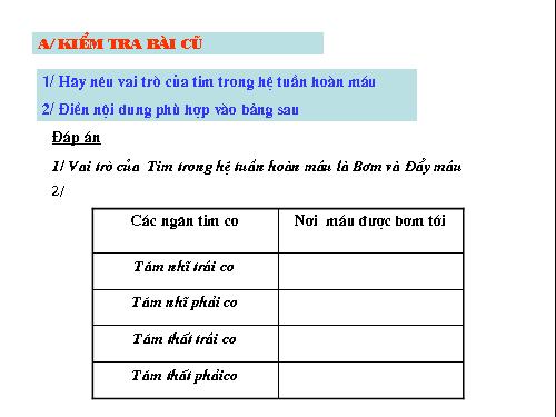 Bài 17. Tim và mạch máu