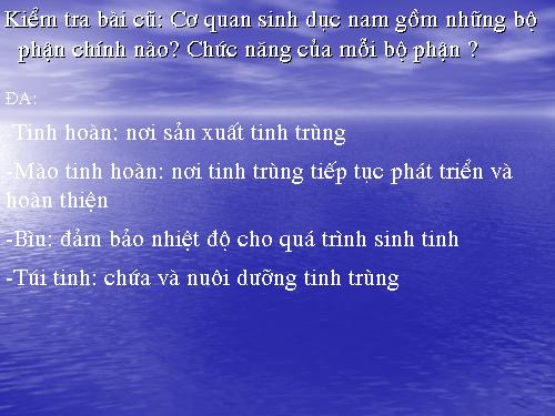 Bài 61. Cơ quan sinh dục nữ