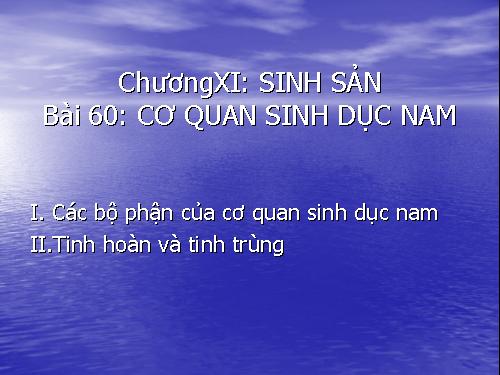 Bài 60. Cơ quan sinh dục nam