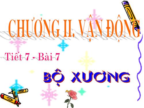 Bài 7. Bộ xương