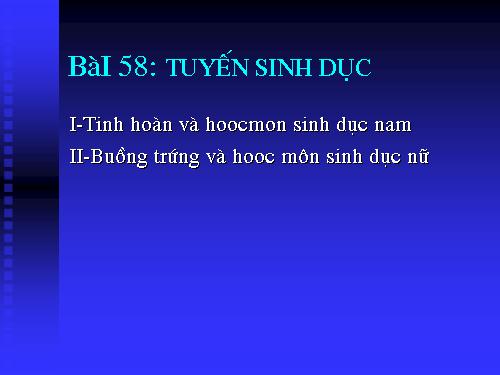 Bài 58. Tuyến sinh dục