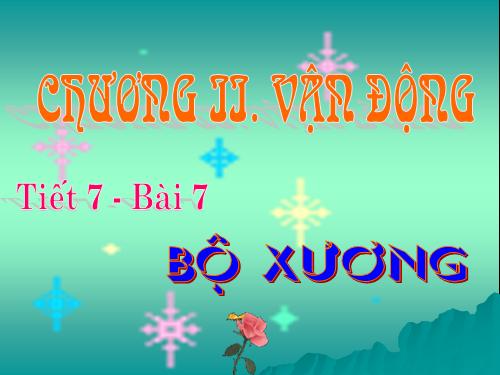 Bài 7. Bộ xương