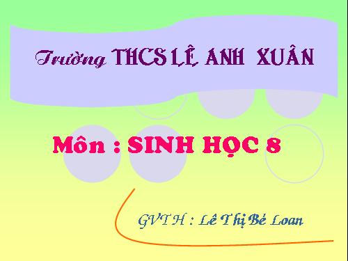 Bài 51. Cơ quan phân tích thính giác