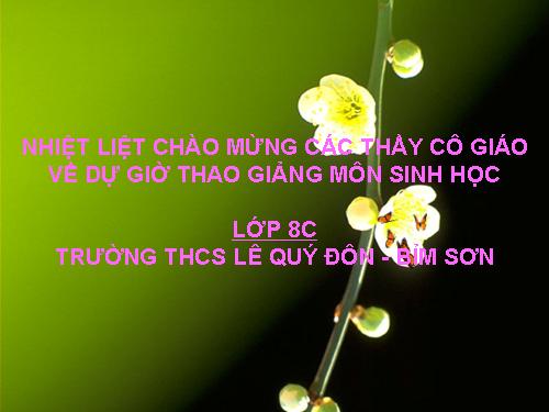 Bài 27. Tiêu hóa ở dạ dày