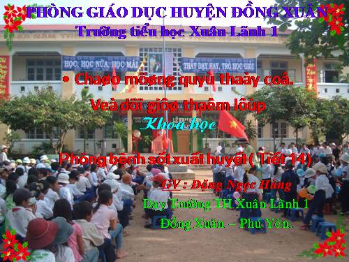 Bài 13. Phòng bệnh sốt xuất huyết