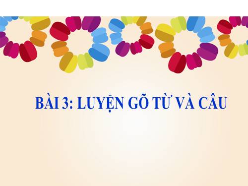 Chương IV. Bài 3. Luyên gõ từ và câu