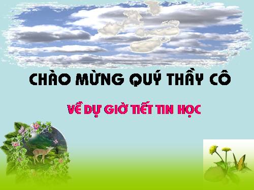 Chương II. Bài 5. Thực hành tổng hợp