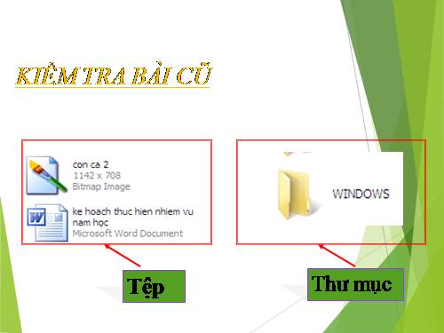 Chương I. Bài 3. Tổ chức thông tin trong máy tính