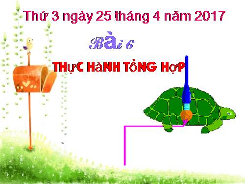 Chương VI. Bài 6. Thực hành tổng hợp