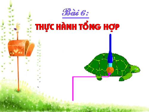 Chương V. Bài 4. Thực hành tổng hợp