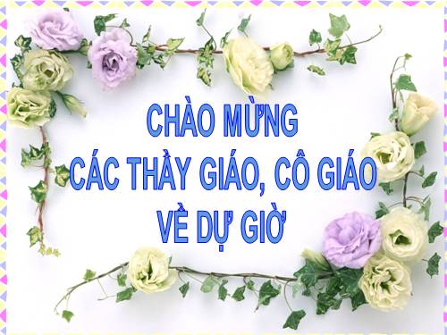 Chương II. Bài 3. Viết chữ lên hình vẽ