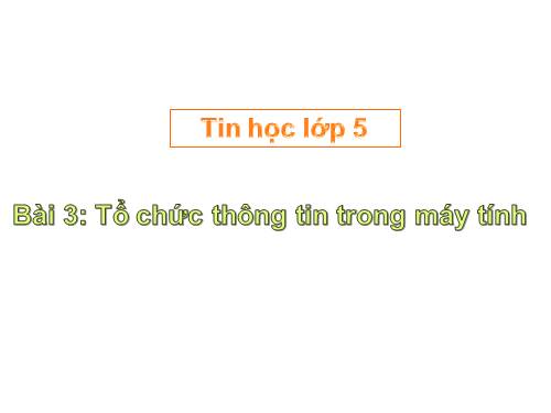 Chương I. Bài 3. Tổ chức thông tin trong máy tính