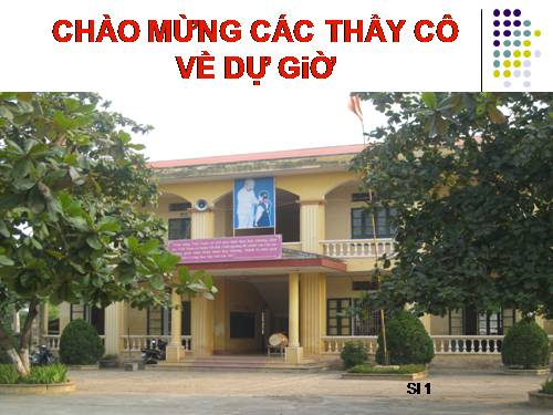 Chương III. Bài 3. Luyện tập nhanh tay, tinh mắt với phần mềm The Monkey Eyes