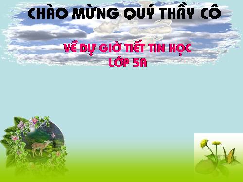 Chương II. Bài 5. Thực hành tổng hợp