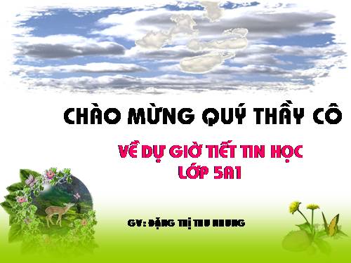 Chương II. Bài 5. Thực hành tổng hợp