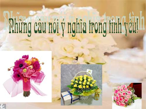 Câu nói tình yêu đầy ý nghĩa