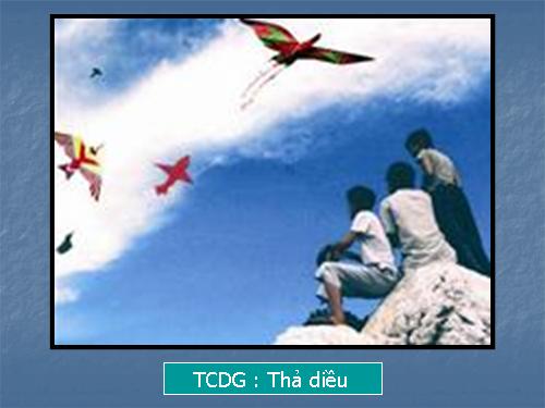 TCDG :  Thả diều