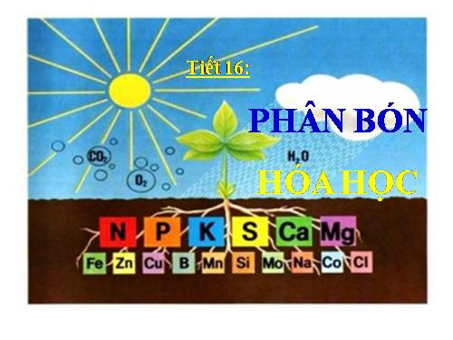 Bài 11. Phân bón hoá hoc