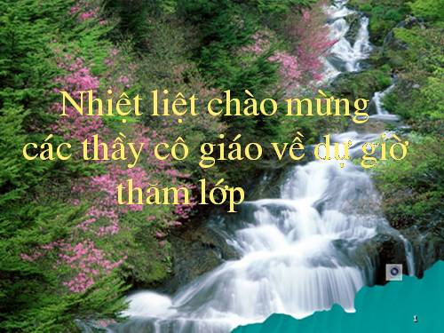 Chương I. §11. Số vô tỉ. Khái niệm về căn bậc hai