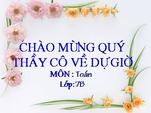 Chương I. §11. Số vô tỉ. Khái niệm về căn bậc hai