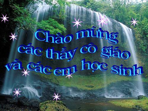 Chương IV. §4. Đơn thức đồng dạng