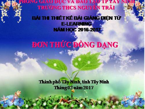 Chương IV. §4. Đơn thức đồng dạng