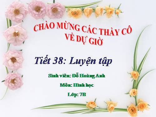 Các bài Luyện tập