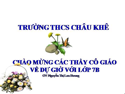 Chương I. §11. Số vô tỉ. Khái niệm về căn bậc hai