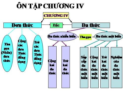 Ôn tập Chương IV. Biểu thức đại số