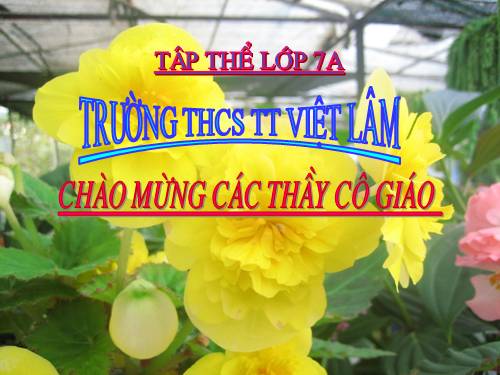 Chương IV. §4. Đơn thức đồng dạng