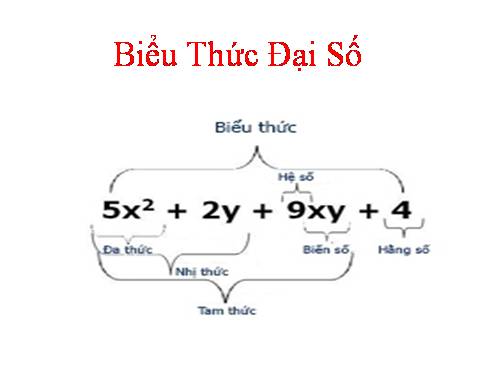 Ôn tập Chương IV. Biểu thức đại số