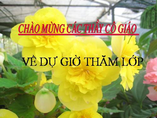 Chương IV. §4. Đơn thức đồng dạng