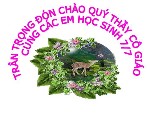 Ôn tập Chương II. Hàm số và đồ thị