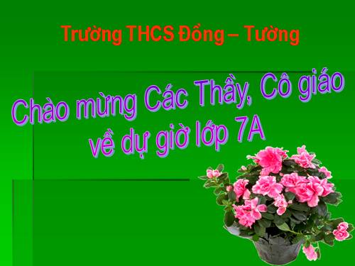 Chương I. §9. Số thập phân hữu hạn. Số thập phân vô hạn tuần hoàn