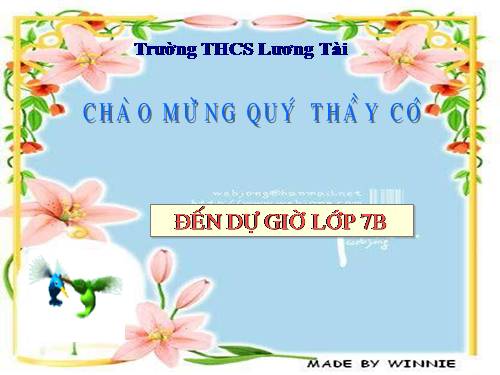 Chương IV. §7. Đa thức một biến