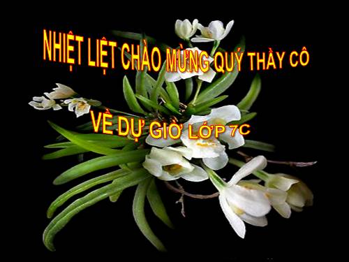 Chương II. §1. Đại lượng tỉ lệ thuận