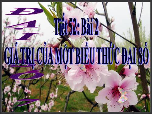 Chương IV. §2. Giá trị của một biểu thức đại số