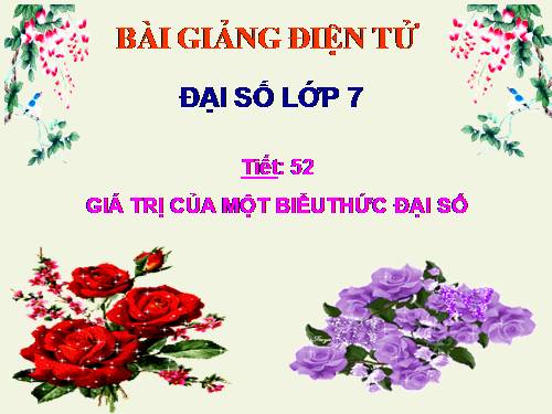 Chương IV. §2. Giá trị của một biểu thức đại số