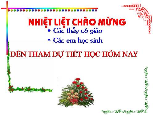 Các bài Luyện tập