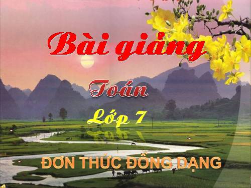 Chương IV. §4. Đơn thức đồng dạng