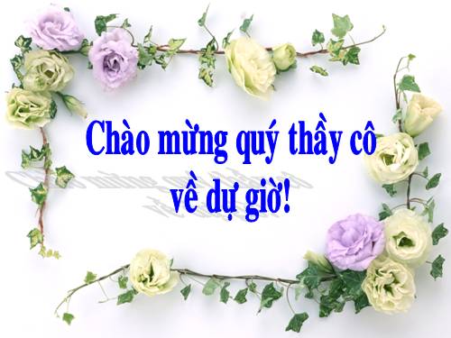 Chương IV. §4. Đơn thức đồng dạng